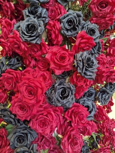 红黑玫瑰交织的绚丽花簇