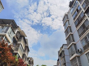 城市楼宇间的晴朗天空