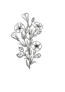 手绘花卉图案亚麻籽花