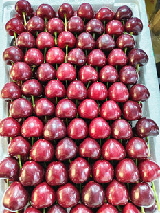 新鲜饱满的大樱桃