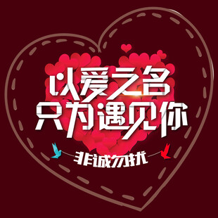 以爱之名只为遇见你