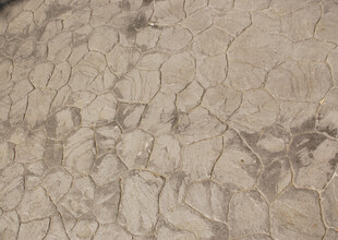 干裂土地纹理特写