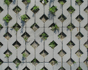 镂空砖石间的绿植景观