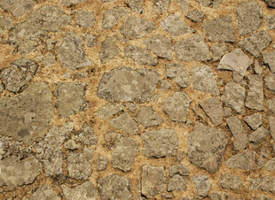 干裂土地纹理特写