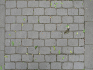 灰色砖墙带绿色植物点缀