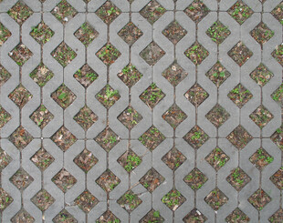 金属网格中的绿植景观