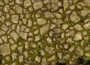 石板铺就的古朴地面