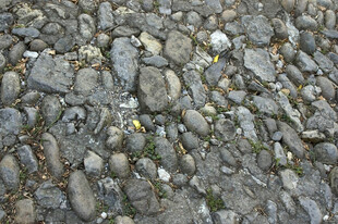 鹅卵石铺就的地面纹理