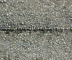 鳄鱼皮纹理特写