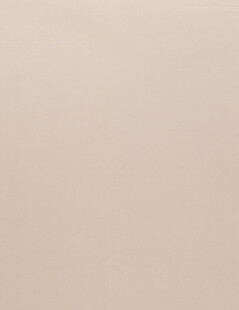 浅米色背景纹理图