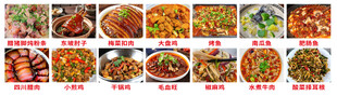 多样美味菜肴展示