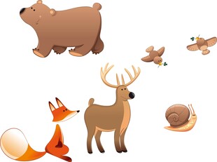 森林小动物集合