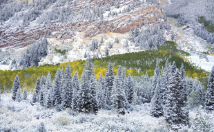 雪覆山林的冬日美景