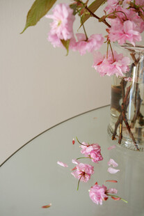 花瓶中的粉色樱花与落瓣
