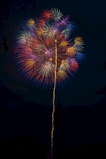 梦幻烟花蒲公英绽放