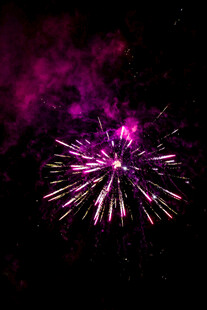 紫色绚烂烟花绽放夜空