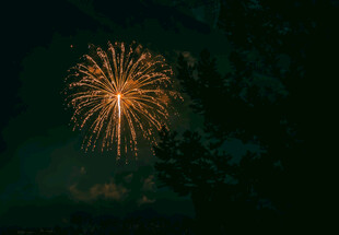 夜空中绚烂绽放的烟花