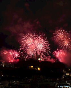 夜空中绚烂的红色烟花
