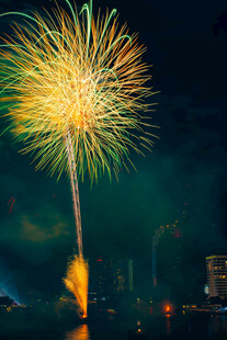 夜空中绚烂绽放的烟花