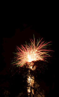 夜空中绚烂的烟花绽放