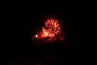 夜空中绽放的红色烟花