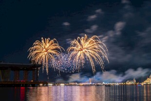 夜空中绚烂的河畔烟花秀