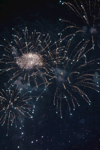 夜空中绚烂绽放的烟花