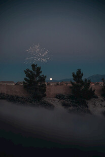 夜空下的烟花与树木