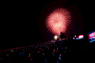 夜空中绚烂的烟花表演