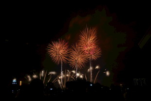 夜空中绚烂的烟花绽放