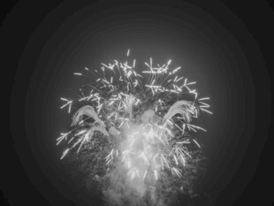 绚丽烟花照亮璀璨夜空