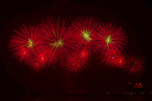 夜空中绚烂的红色烟花