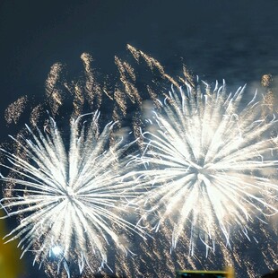 夜空中绽放的绚烂烟花