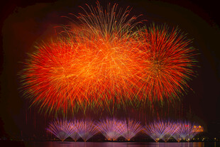 夜空中绚丽的烟花绽放