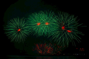 夜空中绽放的绿色绚烂烟花