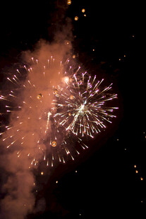 夜空中盛放的绚烂烟花