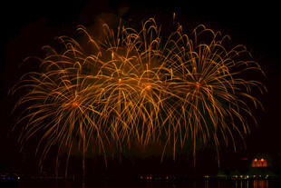 夜空中绚烂的金色烟花