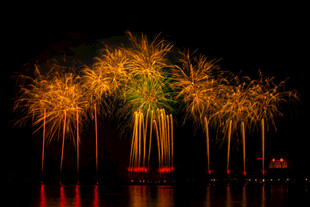 夜空中绚烂绽放的金色烟花