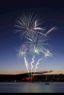 夜空绽放的绚烂烟花