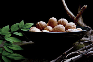 碗中核桃与绿叶树枝