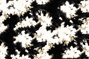 黑白花卉抽象图案纹理