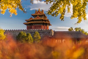 秋日故宫角楼美景