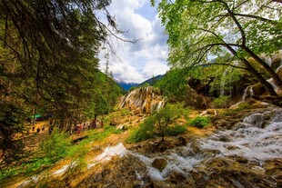 山间溪流旁的葱郁自然景