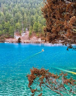 清澈蓝湖旁的葱郁山林