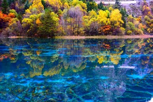 秋日斑斓湖水美景