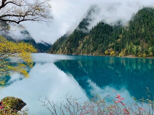 梦幻蓝湖映山林美景