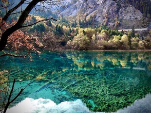 梦幻蓝绿湖水山林美景