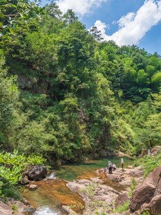 山间溪流旁的绿意景致