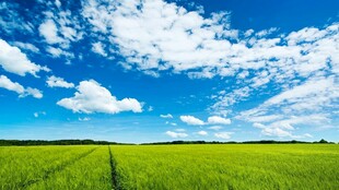 广阔绿野上的蔚蓝天空