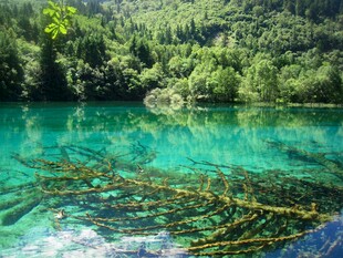 清澈幽蓝的山间湖泊